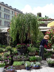 Blumen am Markstand