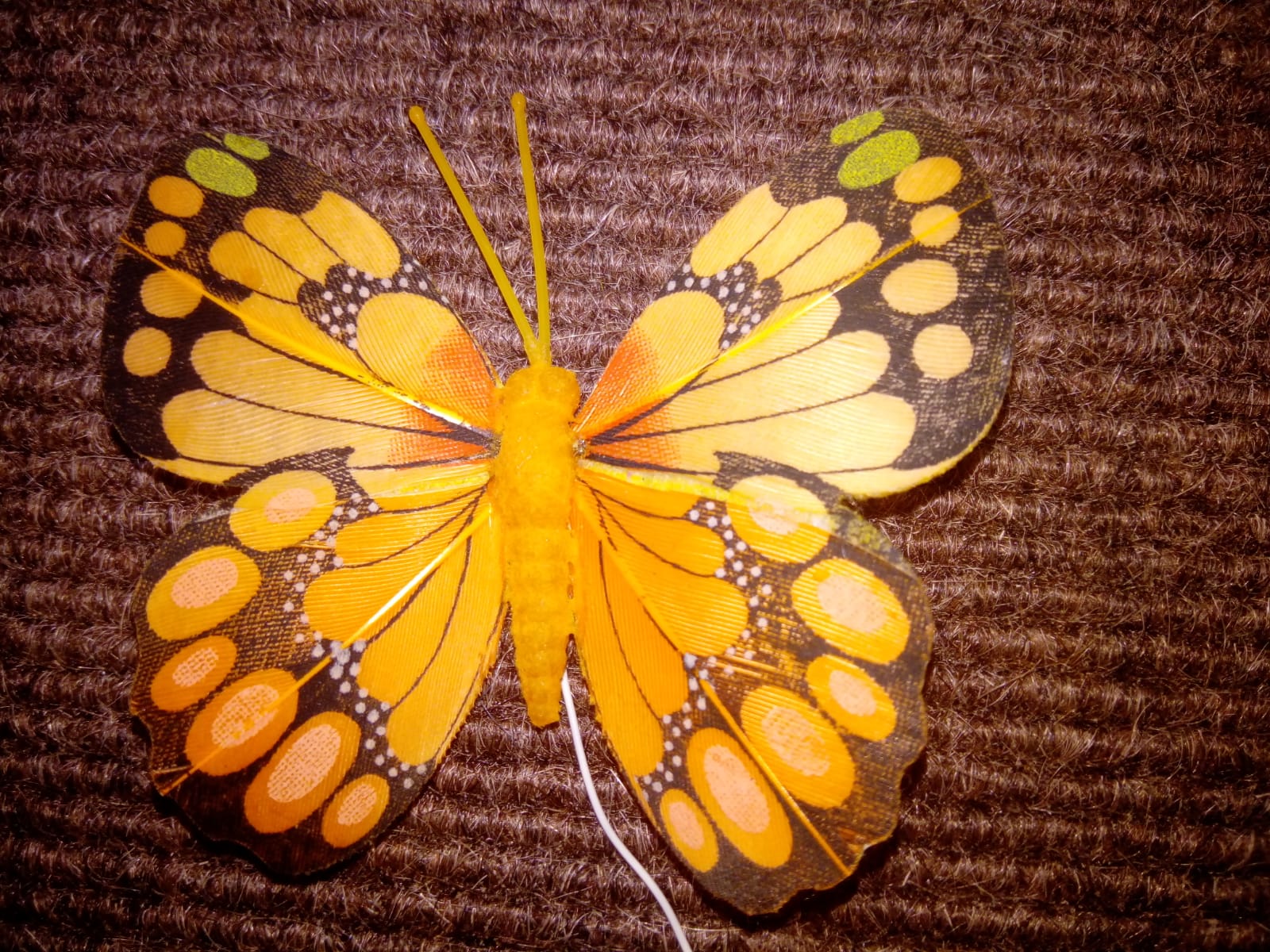 Schmetterling I | Seelsorge im Alter